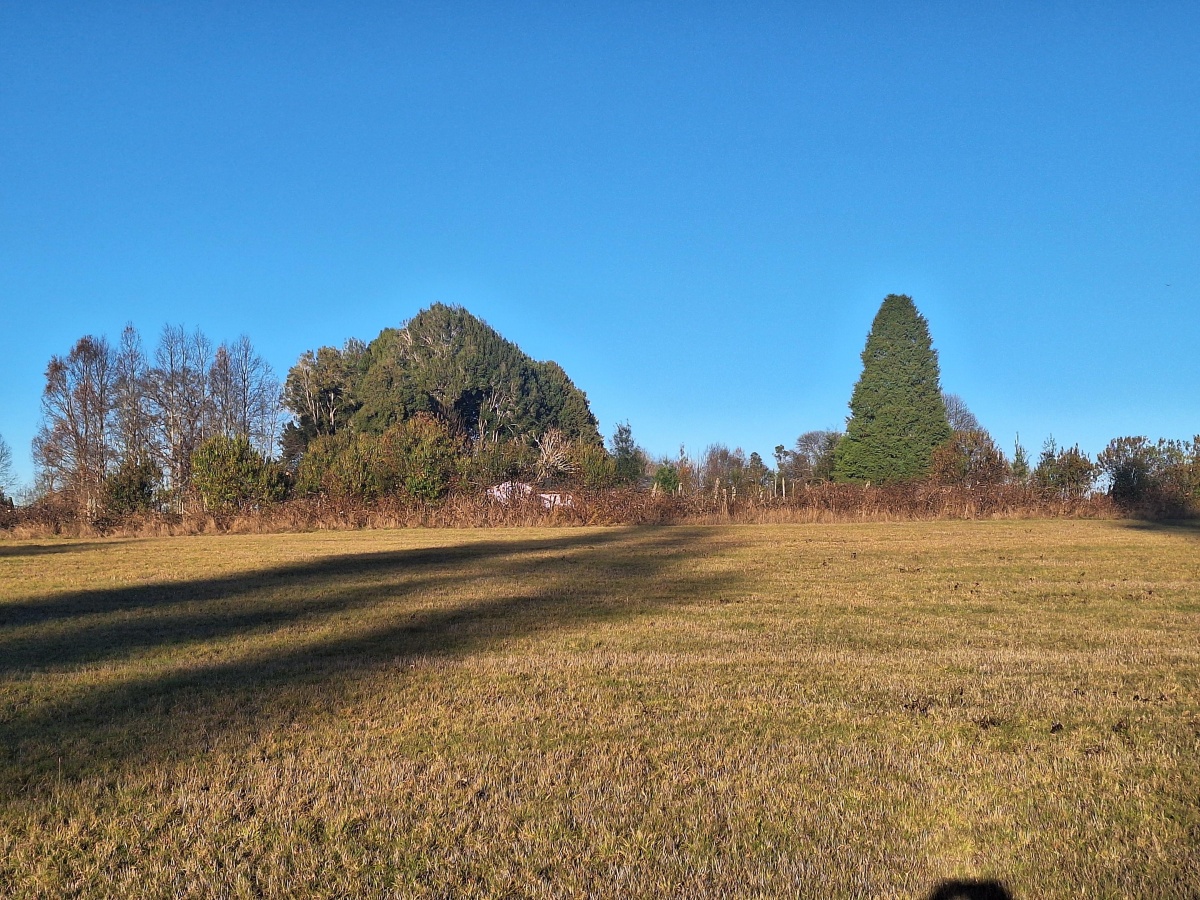 Venta Parcela Villarrica - La Araucanía