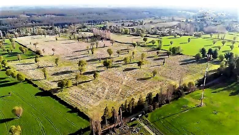 Venta Agrícola El carmen - Ñuble