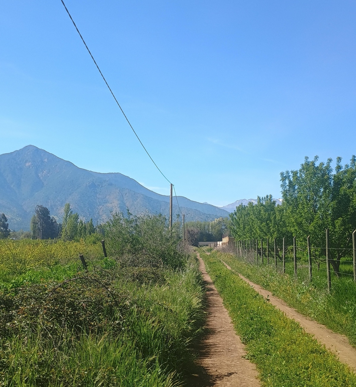 Venta Terreno Rengo - O'Higgins