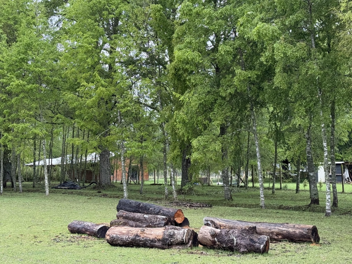 Venta Parcela Loncoche - La Araucanía