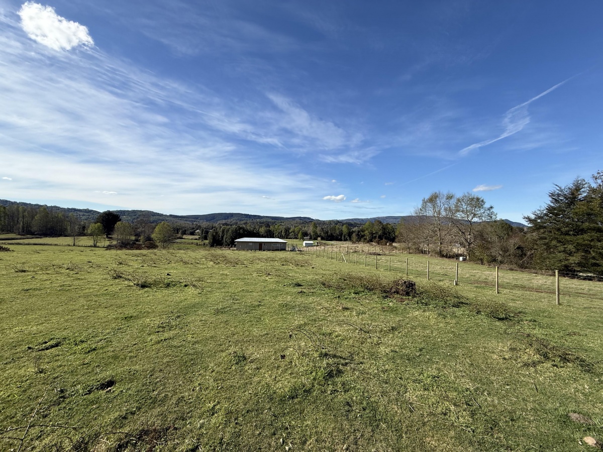 Venta Parcela Villarrica - La Araucanía