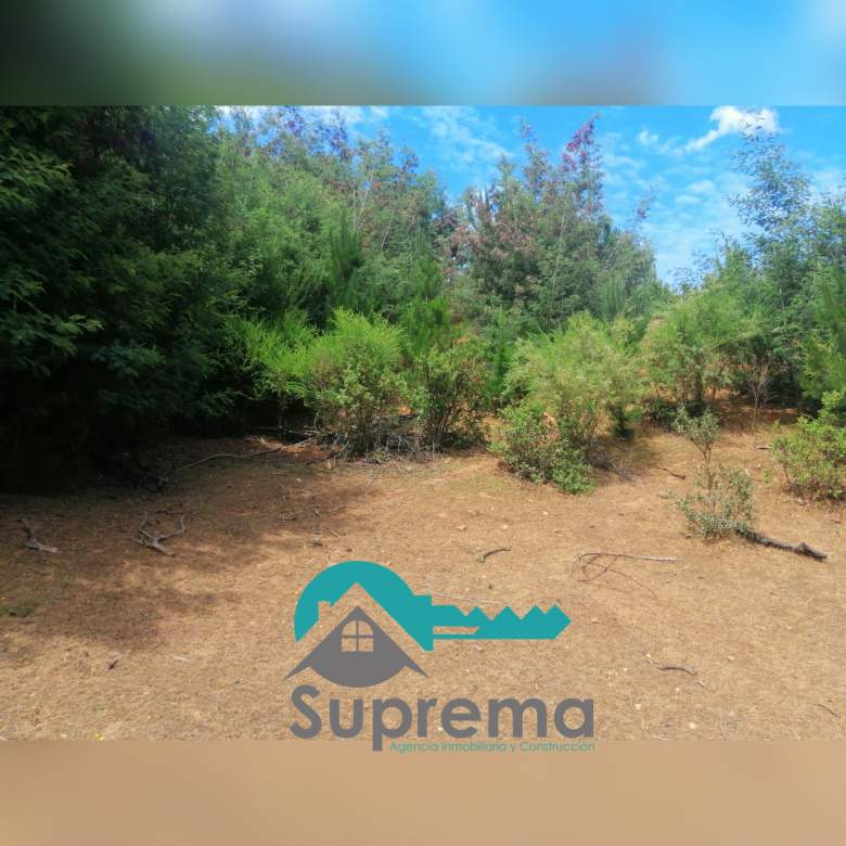 Venta Terreno Constitución - Maule