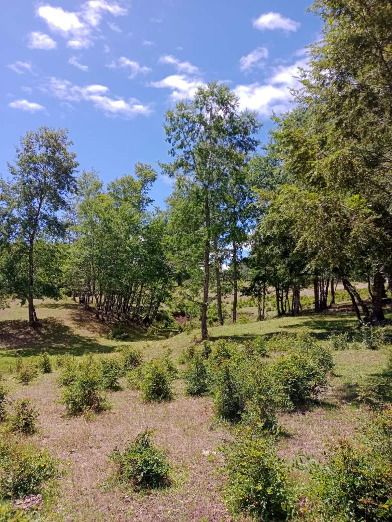 Venta Terreno San juan de la costa - Los Lagos