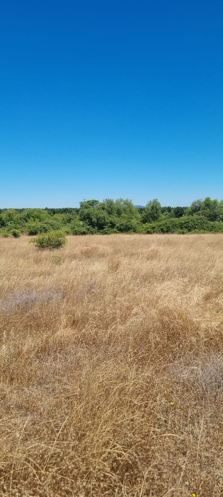 Venta Terreno Retiro - Maule