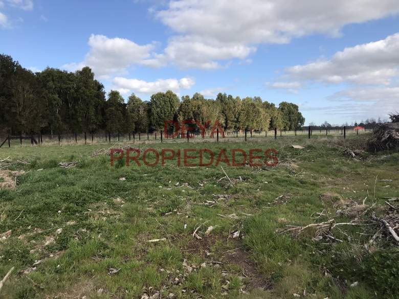Venta Terreno Frutillar - Los Lagos