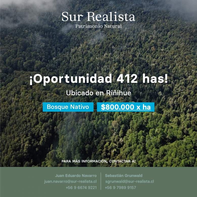 Venta Inversión Rinihue - Los Ríos