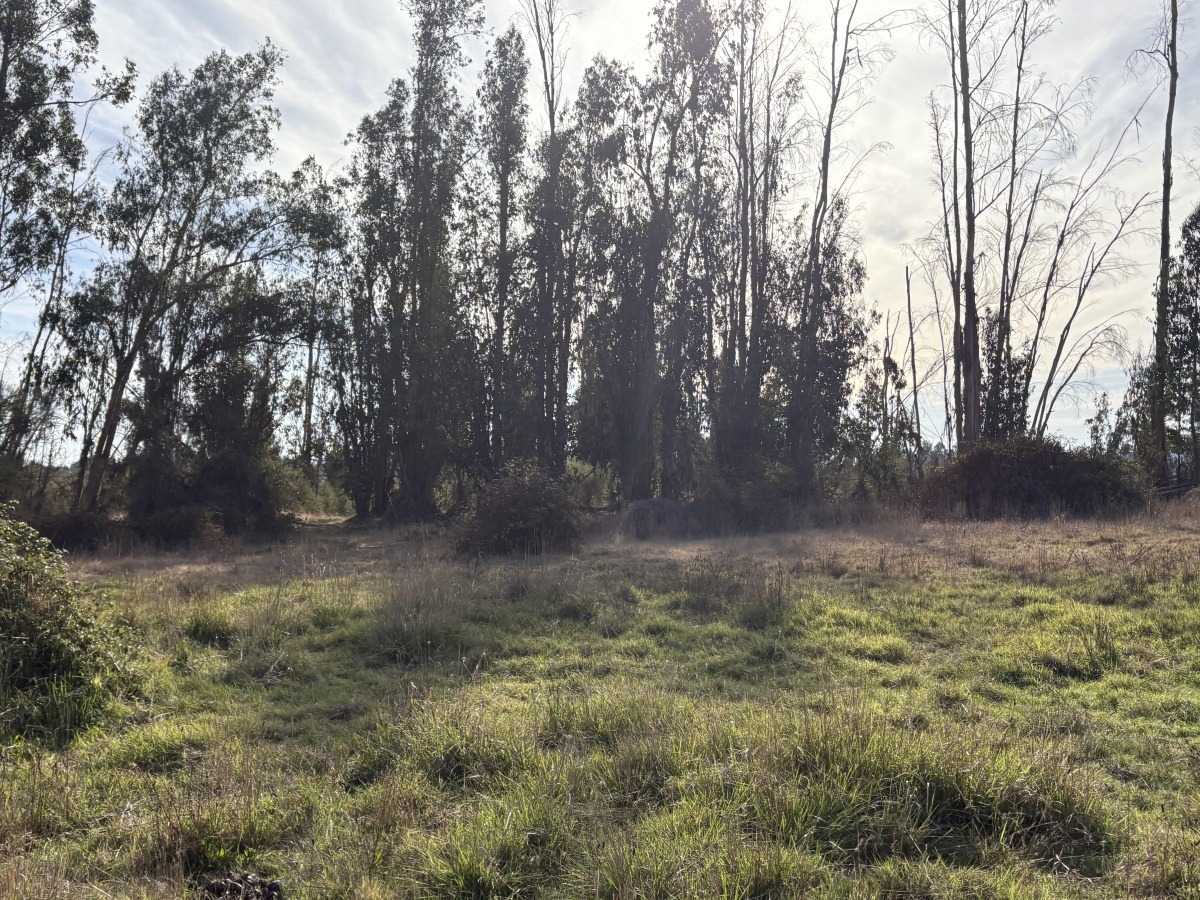 Venta Terreno Melipilla - Región Metropolitana
