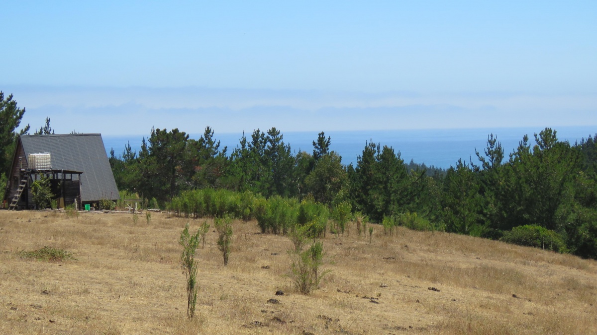 Venta Terreno Cobquecura - Ñuble