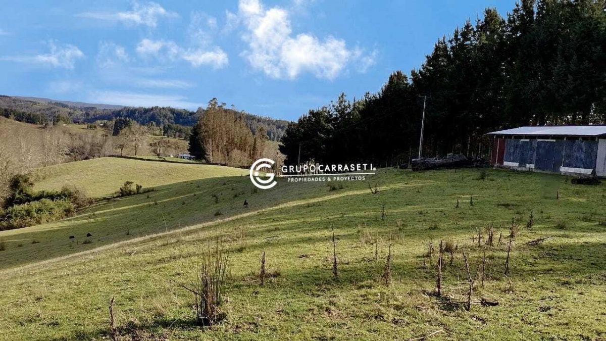 Venta Terreno Osorno - Los Lagos