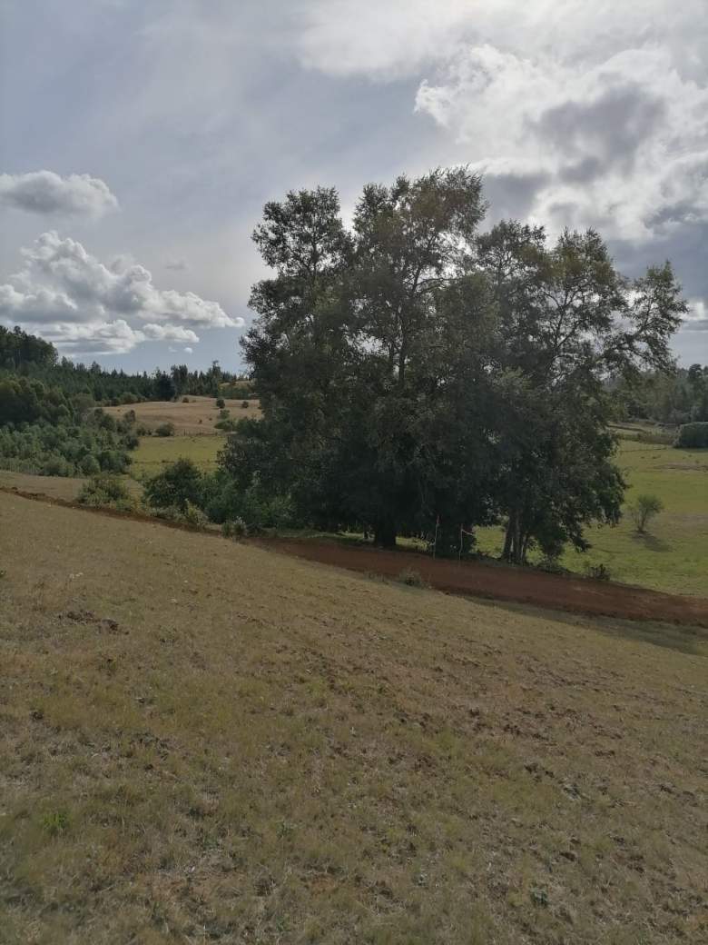 Venta Terreno Mafil - Los Ríos