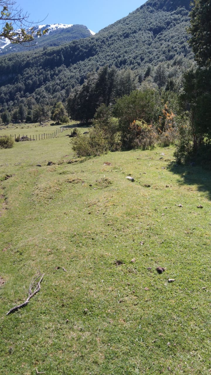 Venta Terreno Llanada grande - Los Lagos
