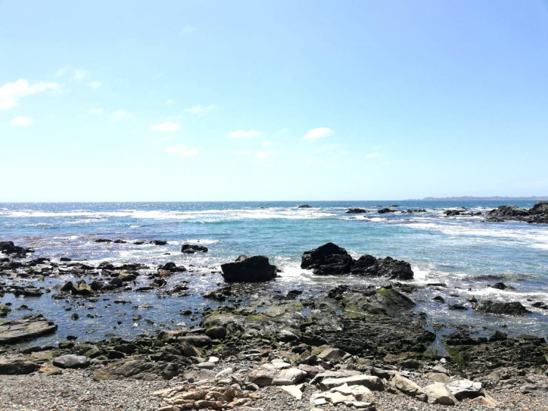 Venta Terreno La ballena - Valparaíso