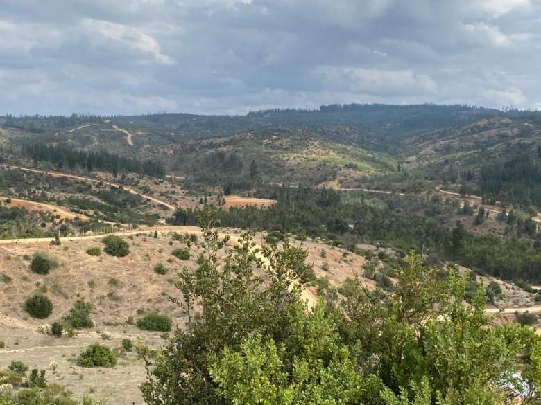 Venta Terreno Hualañé - Maule