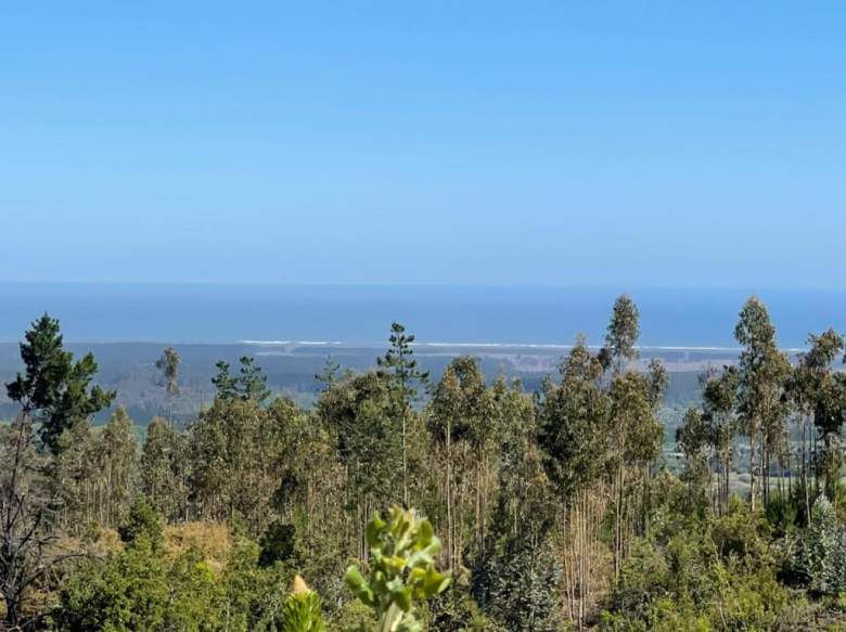 Venta Terreno Constitución - Maule