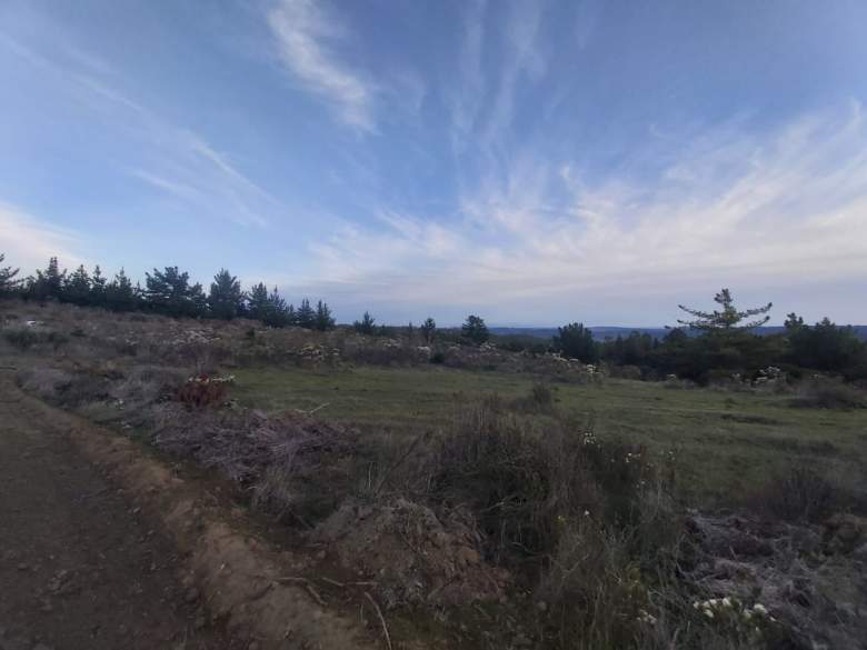 Venta Terreno Bucalemu - O'Higgins