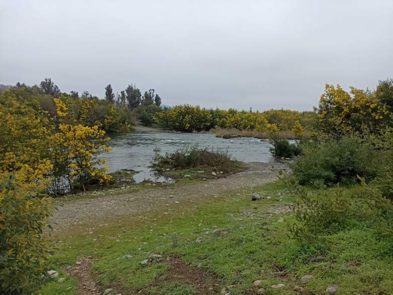 Venta Terreno Parral - Maule