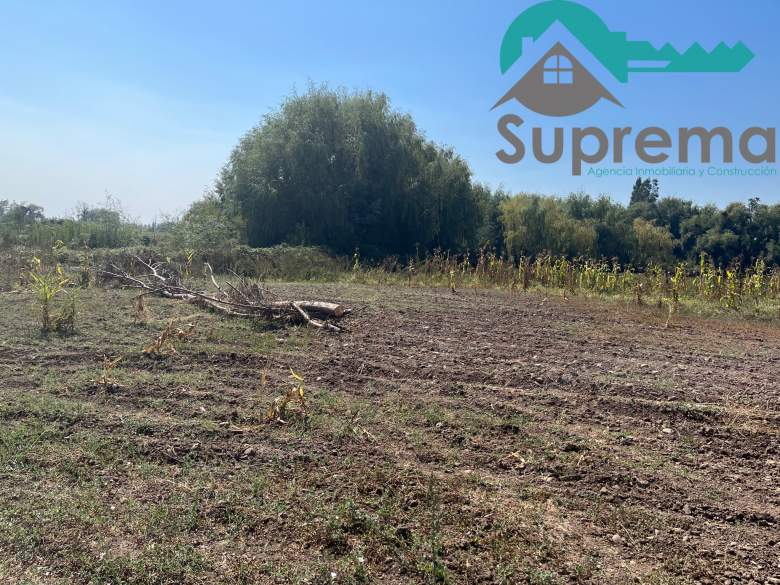 Venta Terreno Yerbas buenas - Maule