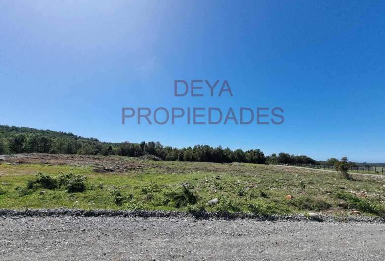 Venta Terreno Calbuco - Los Lagos