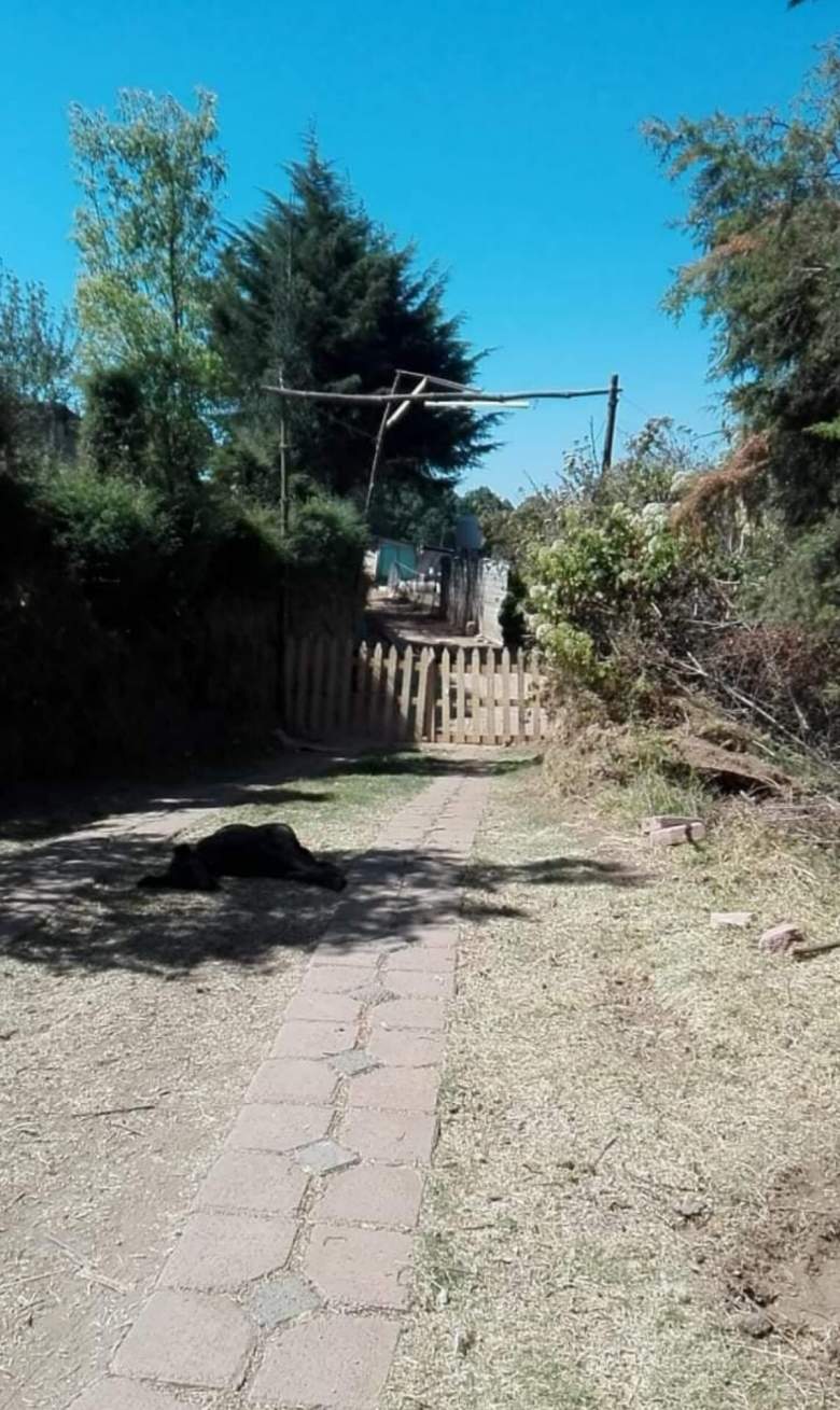 Venta Terreno / Lote San Pedro Zictepec - Tenango del Valle