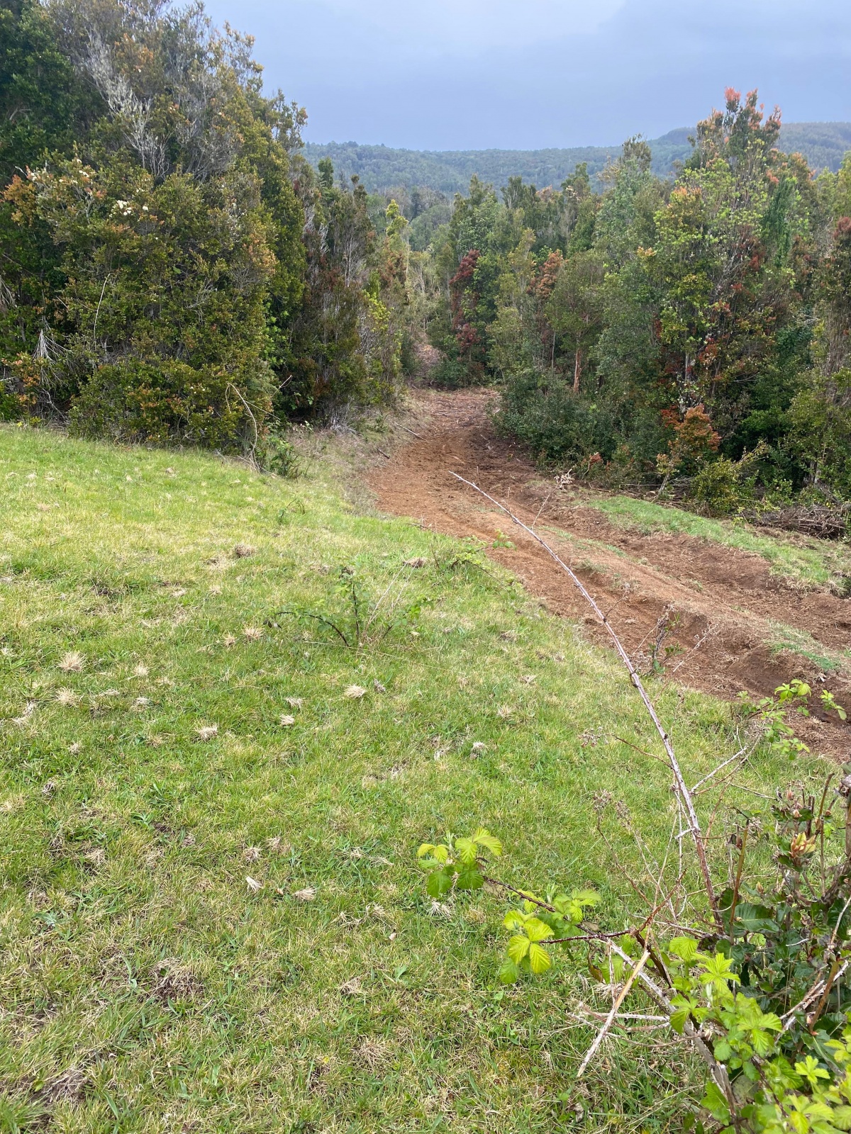 Venta Parcela Calbuco - Los Lagos