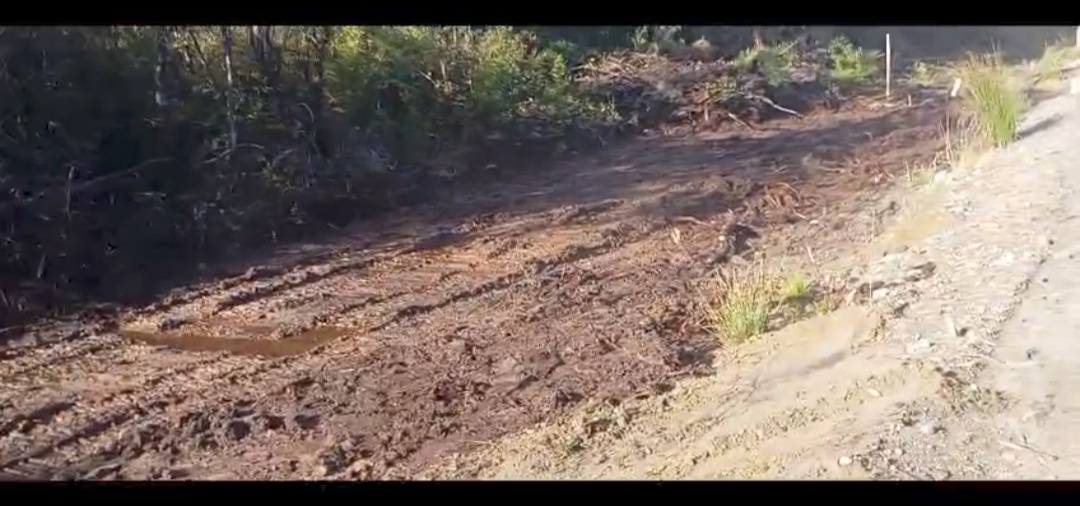 Venta Terreno Maullín - Los Lagos