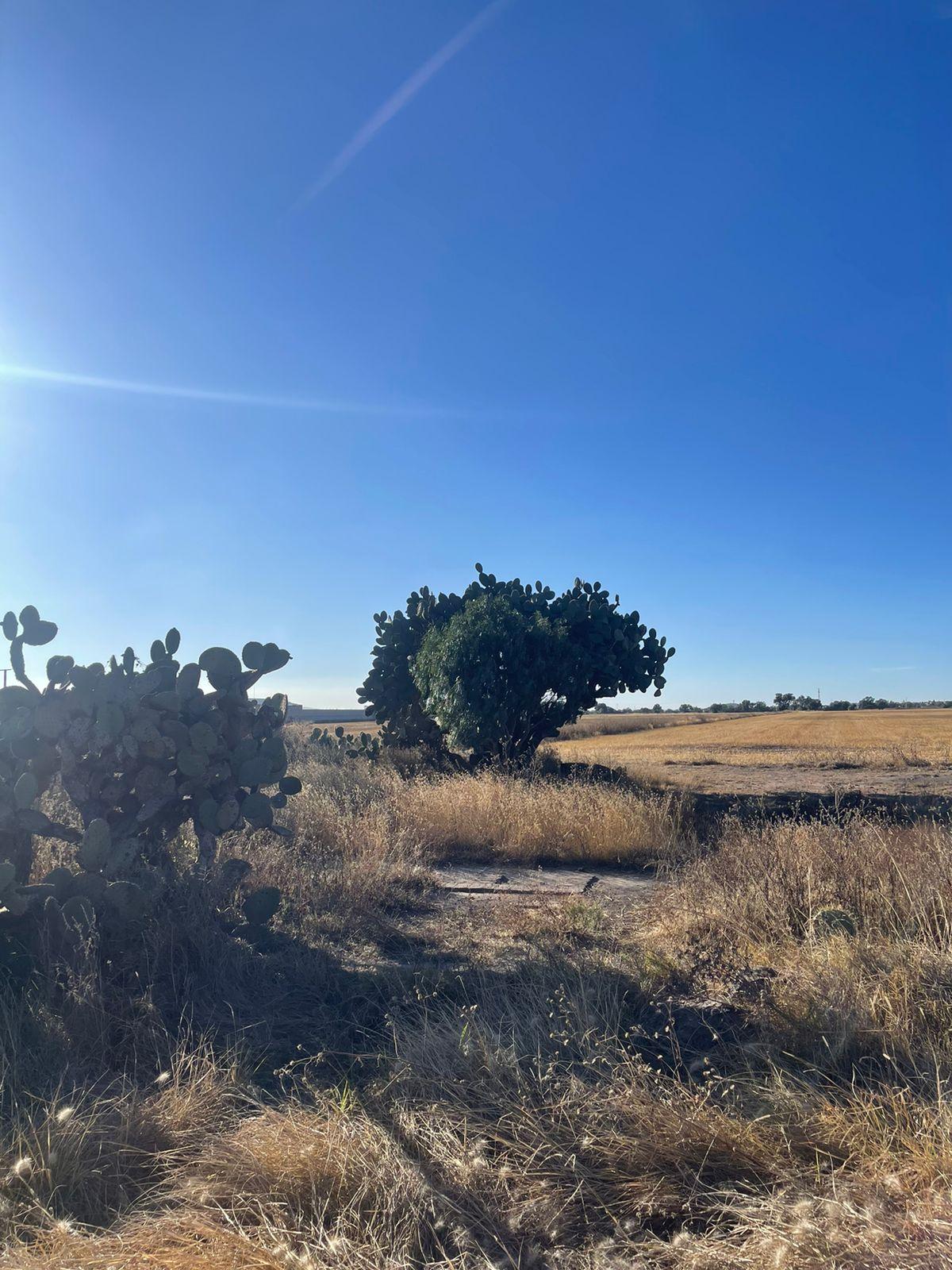 Venta Terreno / Lote El Chopo - Tizayuca