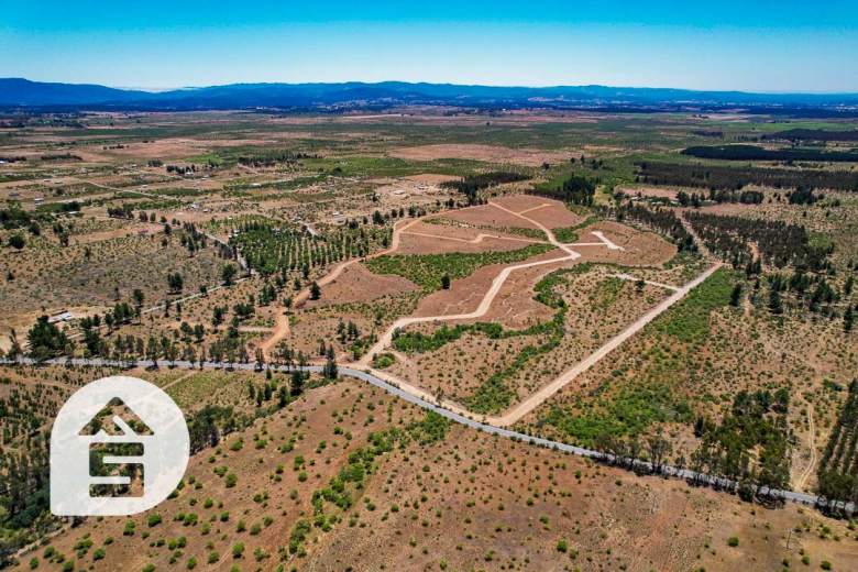 Venta Agrícola Cauquenes - Maule