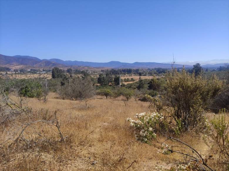 Venta Agrícola Zapallar - Valparaíso