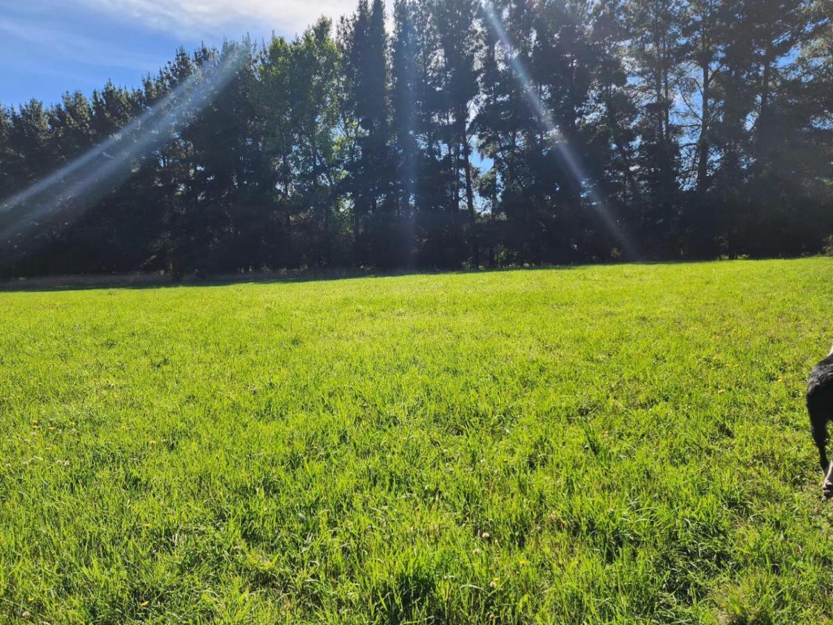 Venta Terreno San José de La Mariquina - Los Ríos