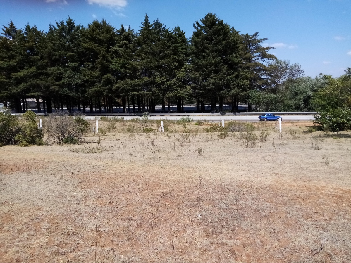 Venta Terreno / Lote Tecolapan - Jilotepec