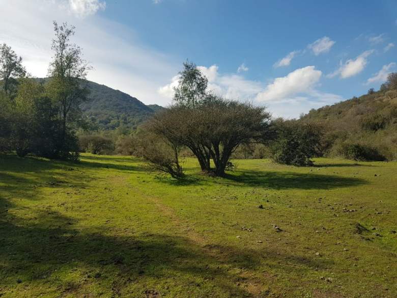 Venta Terreno San pedro - Región Metropolitana