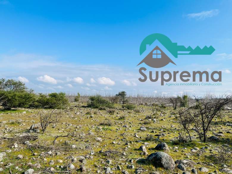 Venta Terreno Longaví - Maule