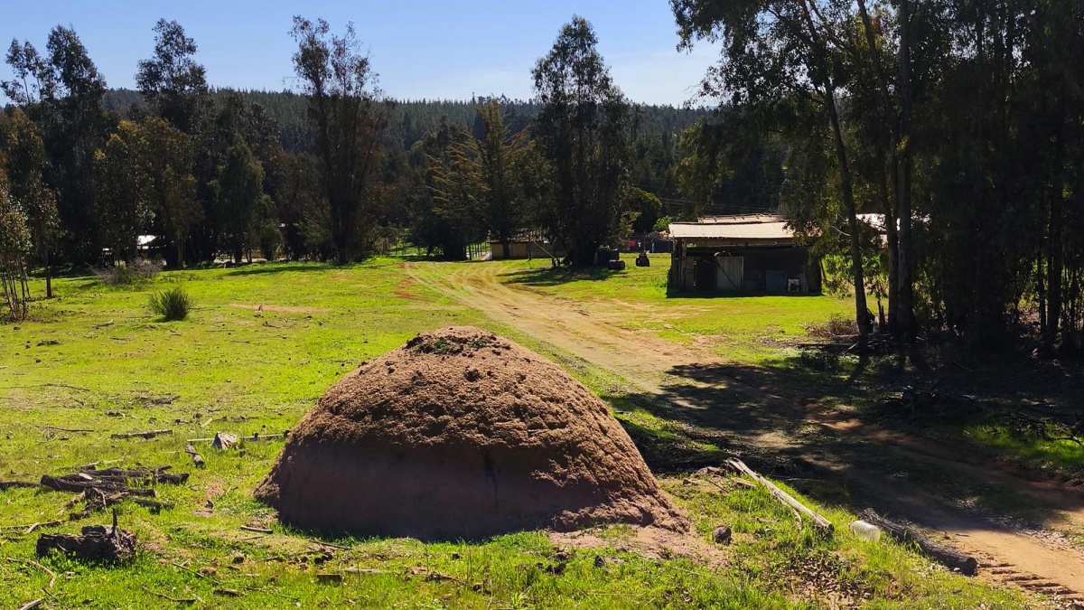 Venta Terreno Hualañé - Maule