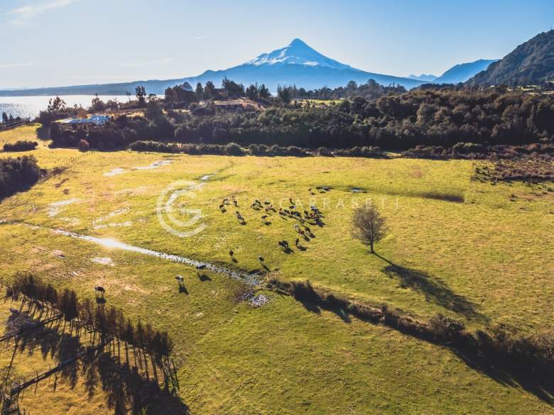 Venta Terreno Puerto Varas - Los Lagos