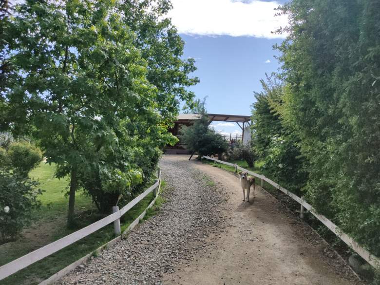 Venta Agrícola Melipilla - Región Metropolitana