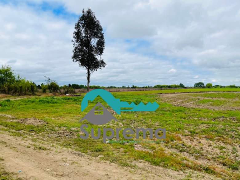 Venta Terreno Parral - Maule