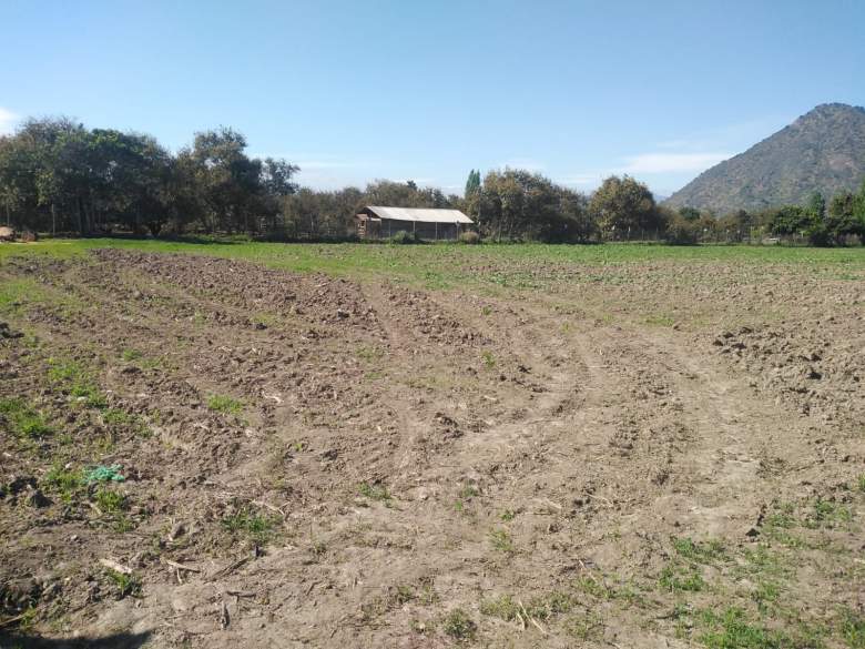 Venta Terreno San Vicente de Tagua Tagua - O'Higgins