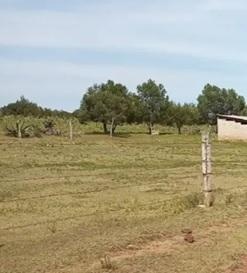 Venta Agrícola San Lorenzo Sayula - Cuautepec de Hinojosa