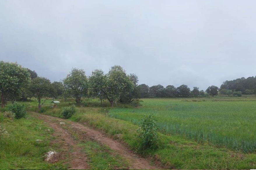 Venta Agrícola La Barranca del Agua - Cuautepec de Hinojosa