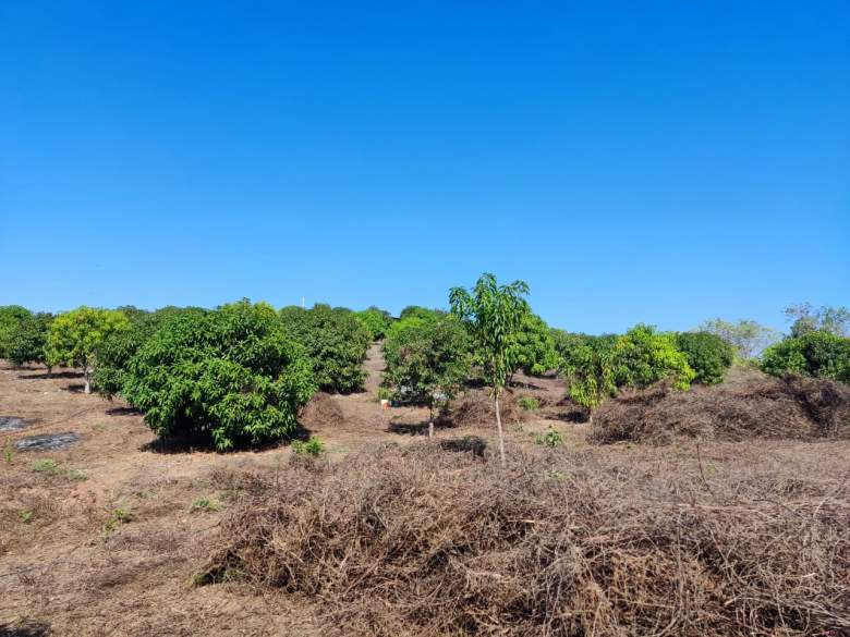Venta Agrícola Cerro de Piedra - Acapulco de Juárez