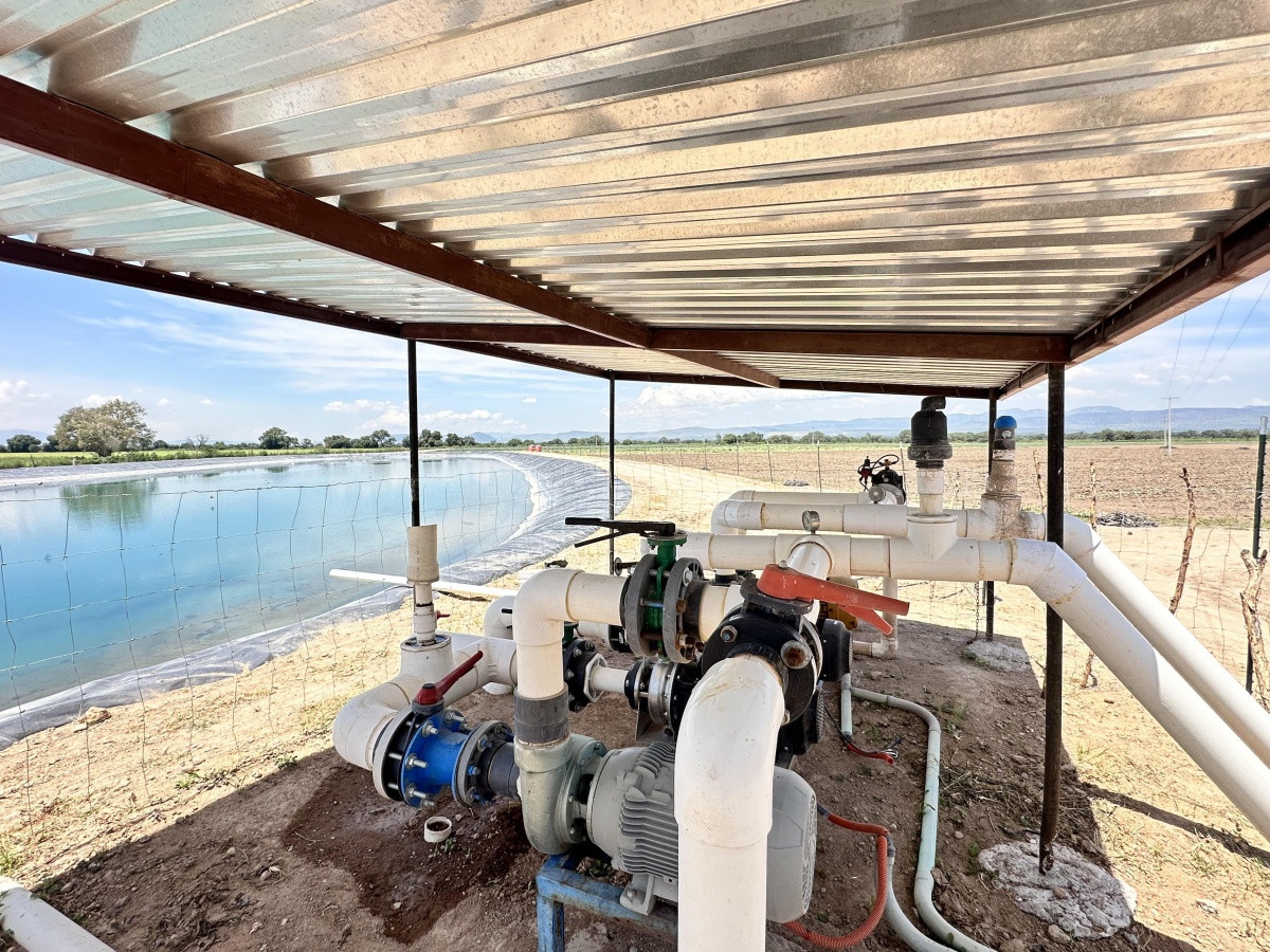 Venta Agrícola Villa de Reyes - Villa de Reyes