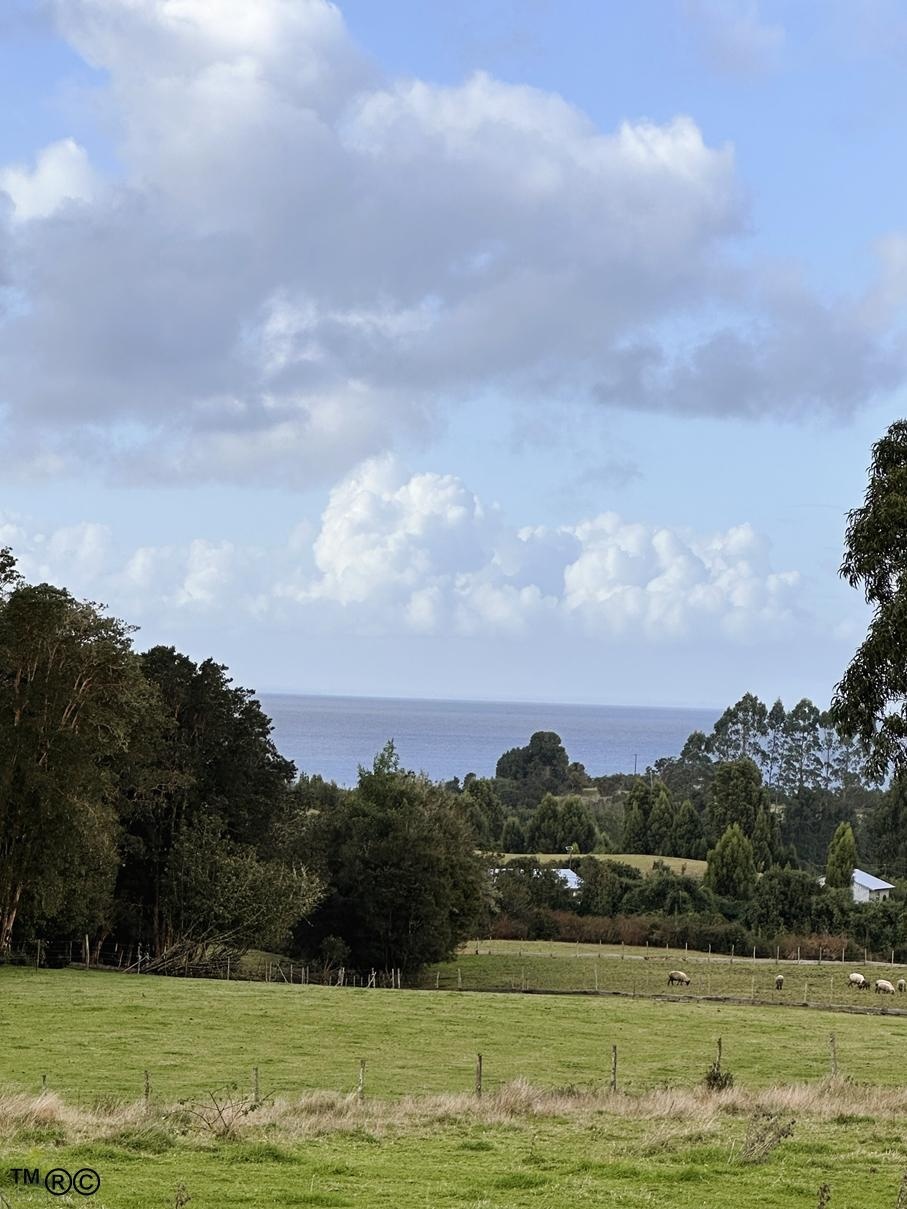 Venta Terreno Ancud - Los Lagos