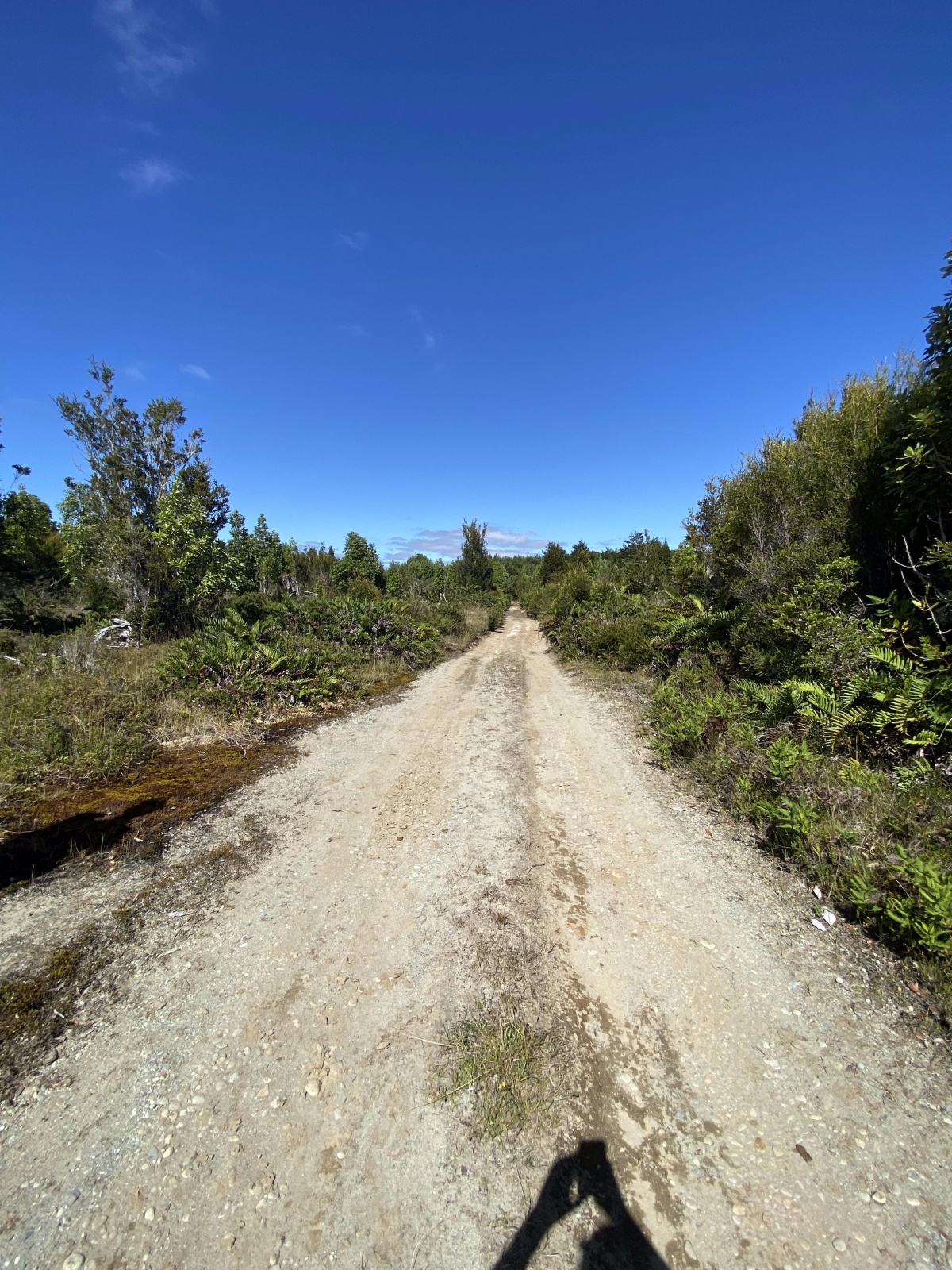 Venta Terreno Maullín - Los Lagos