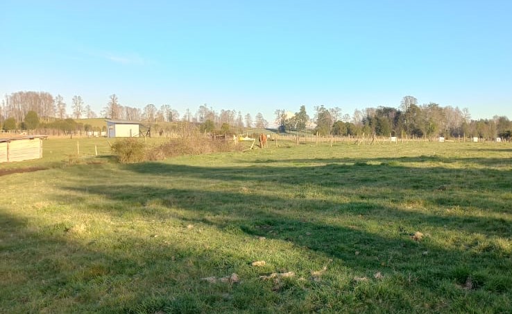 Venta Terreno Entre lagos - Los Lagos