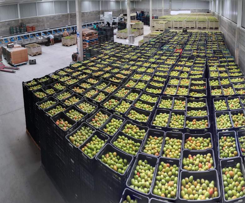 Venta Agrícola Loma Bonita (La Vega) - Parras