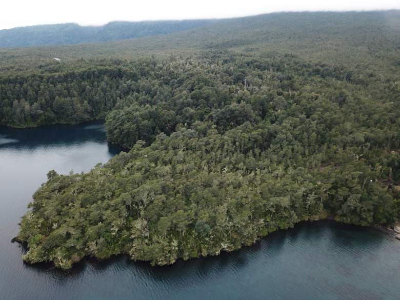 Venta Terreno Puerto Octay - Los Lagos