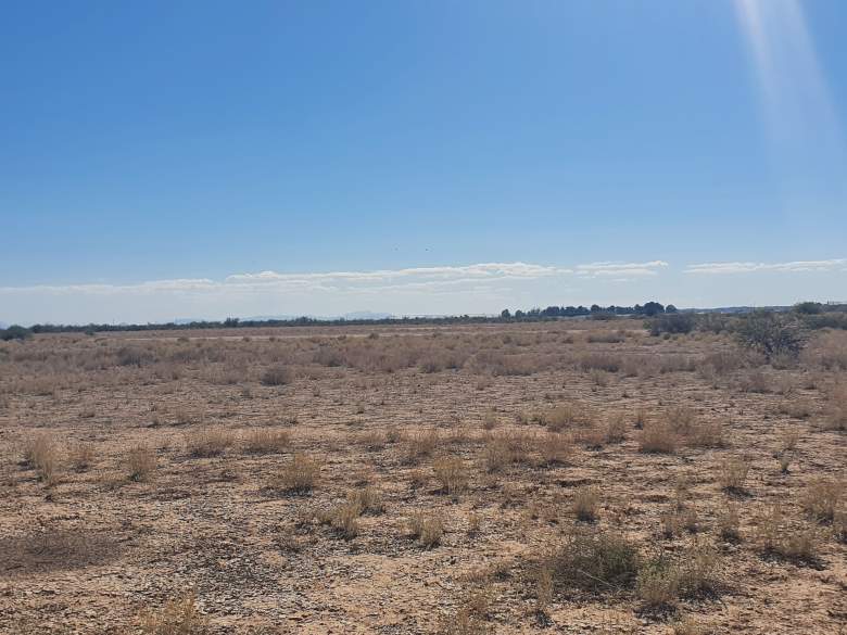 Venta Agrícola Ceballos - Mapimí