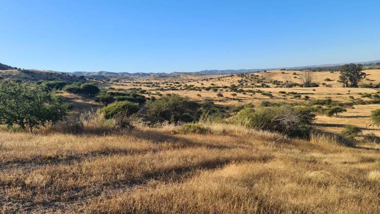 Venta Terreno Colchagua - O'Higgins