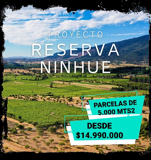 Venta Terreno Ninhue - Ñuble