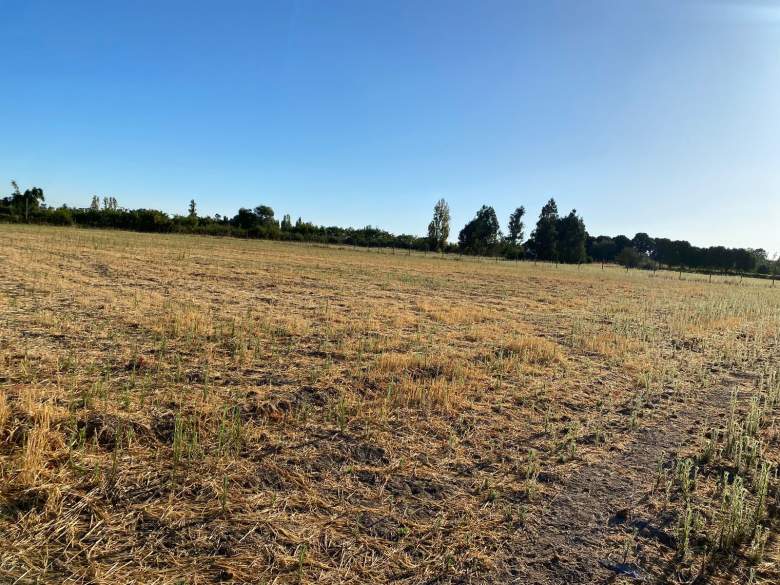 Venta Terreno Retiro - Maule